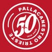 Logo Pallacanestro Trieste 2004 Srl