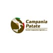 Logo Campania Patate Società Cooperativa Agricola A R.l.