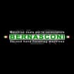 Logo Bernasconi Srl