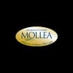 Logo Mollea Mario & C. S.n.c. Impresa Pompe Funebri
