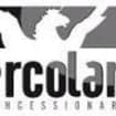 Logo Ercolani Auto Srl