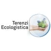 Logo Terenzi Srl