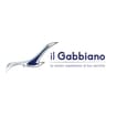 Logo Il Gabbiano Società Cooperativa Sociale Di Solidarieta' In Sigla Il Gabbiano Cooperativa Sociale