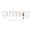 Logo Capannoli Srl