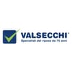 Logo Dr. Valsecchi Srl