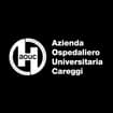 Logo Fondazione Careggi Onlus