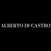 Logo Antichita' Alberto Di Castro Srl