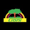 Logo Cioni Srl