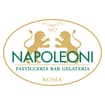 Logo Napoleoni Srl