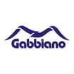 Logo Gabbiano Spa