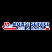 Logo Molise Service S.n.c. Di Di Paola Michelino E Di Paolo Silvano