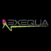 Logo Exequa Srl