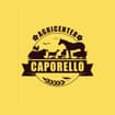 Logo Caporello Carlo Srl