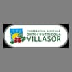 Logo Cooperativa Agricola Ortofrutticola Villasor