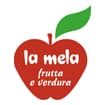Logo Dal Pont Michele