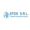 Logo Efds Srl