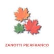 Logo Zanotti Pierfranco Srl