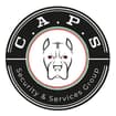 Logo C.a.p.s. Srl