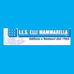 Logo I.e.s. F.lli Mammarella Srl