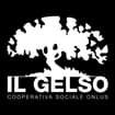 Logo "Il Gelso - Cooperativa Sociale Onlus"