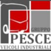 Logo Pesce Edoardo V.i. Srl