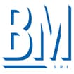 Logo Bm Srl