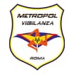 Logo Metropol Security Group Srl