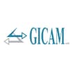 Logo Gicam Srl