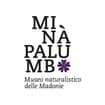 Logo Museo Naturalistico Francesco Mina' Palumbo I.s.s.s