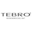 Logo Tebro Srl