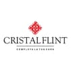 Logo Flint Srl
