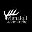 Logo Consorzio Agricolo Dei Vignaioli Delle Marche