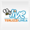Logo Netnews Srl