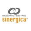Logo Sinergica Srl