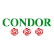 Logo Condor Società Cooperativa