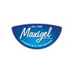 Logo Maxigel Srl