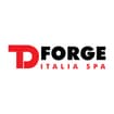 Logo Td Forge Italia Spa