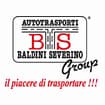 Logo B.s. Group Srl