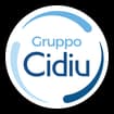 Logo Cidiu Servizi Spa, In Breve: Cidiu Servizi Spa