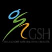 Logo Gsh Società Cooperativa Sociale