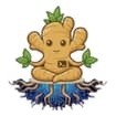 Logo Zenzeroot Srl