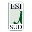 Logo Esi Sud Srl