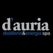 Logo D'auria Distillerie & Energia Spa