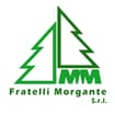 Logo Mm Fratelli Morgante Srl