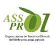 Logo Organizzazione Dei Produttori Olivicoli Dell'umbria Società Coop Erativa Agricola In Sigla "Assoprol Umbria Soc.coop"