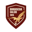 Logo Borgosesia Calcio - Associazione Sportiva Dilettantistica