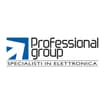 Logo Professional Group
