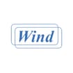 Logo Wind Bilance Srl