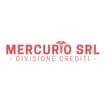 Logo Mercurio Srl