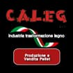 Logo Caleg Srl